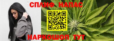 стаф Коммунар
