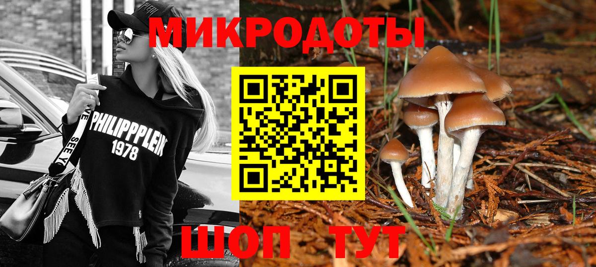Псилоцибиновые грибы Cubensis Комсомольск-на-Амуре