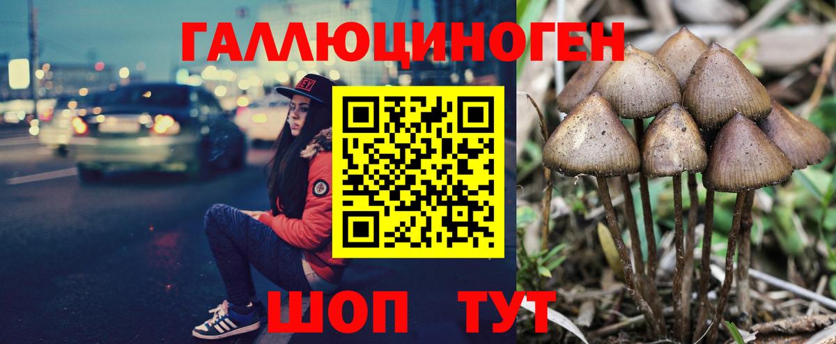 Комсомольск-на-Амуре  Галлюциногенные грибы Cubensis  Вход с VPN 